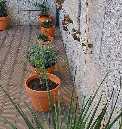 Appartement O Terraco Florido à Viseu Extérieur photo