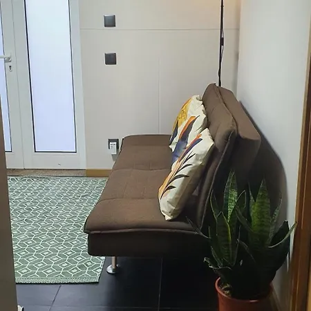 Appartement O Terraco Florido à Viseu Extérieur photo